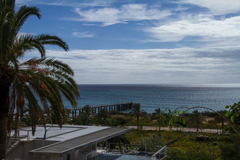 Vila Baleira