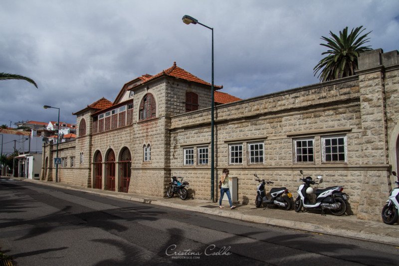 Vila Baleira